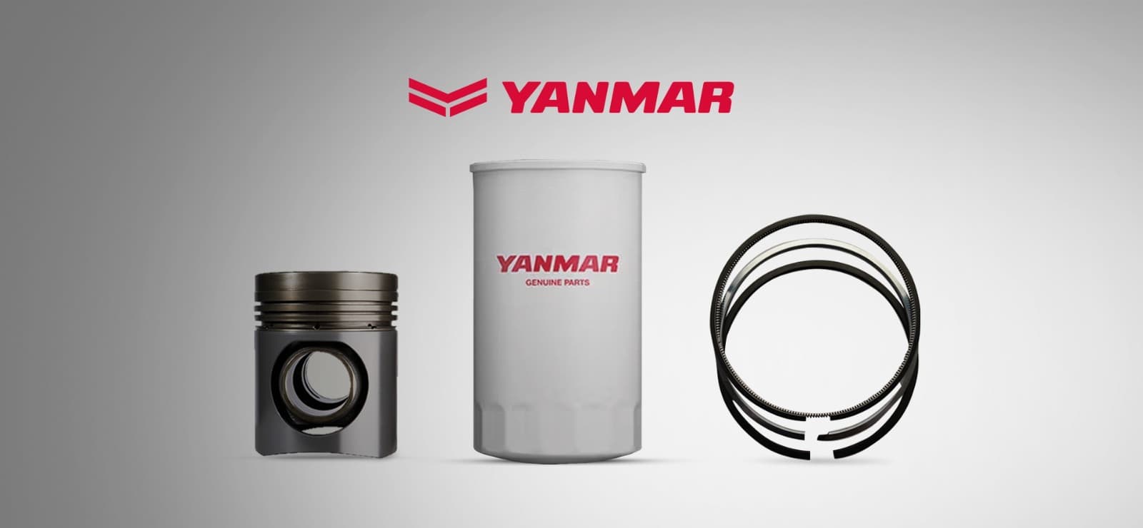 Citizen grievance platform — scene 1